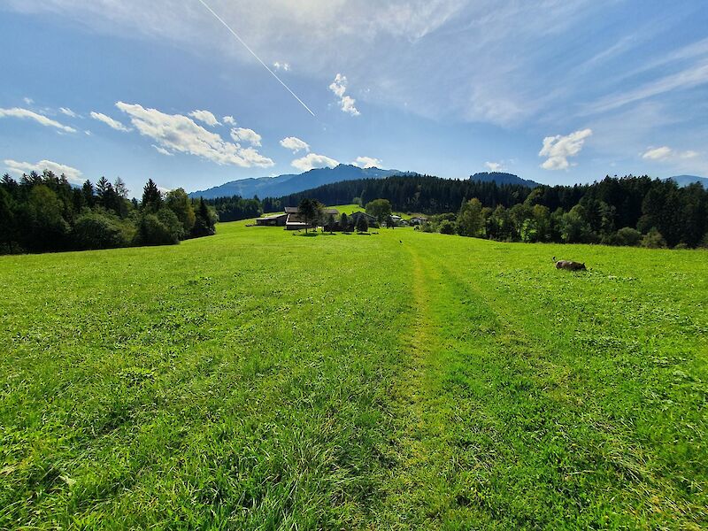 Landwirtschaftlichen Flächen, Wiesen- und Waldparzellen