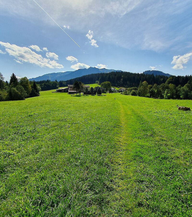 Agricultural land, meadow and forest plots