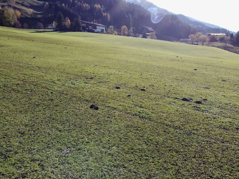 Baugrund mit Blick auf die Hohen Tauern und das Kitzbüheler Horn