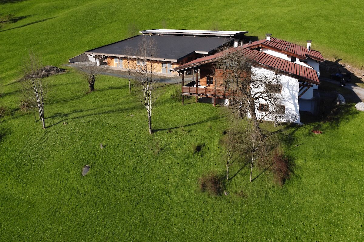 Country house with horse stable in a fantastic location