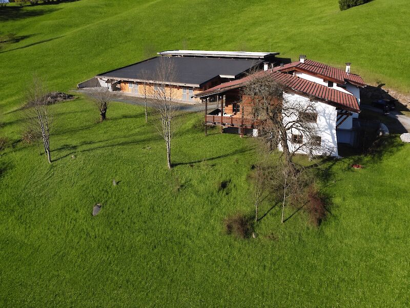 Country house with horse stable in a fantastic location