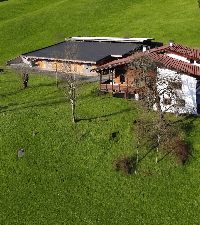 Country house with horse stable in a fantastic location